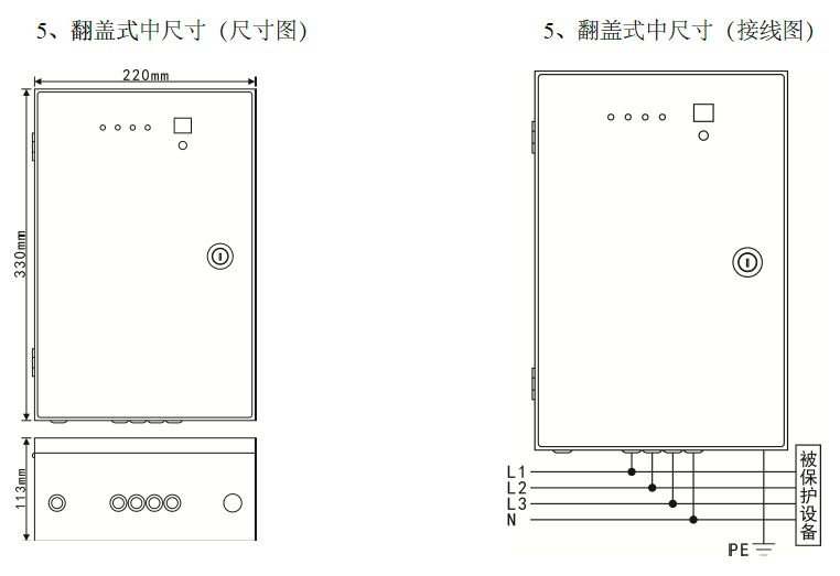 二三級電源避雷箱（T2類、箱式結構、帶雷電計數(shù)狀態(tài)指示）